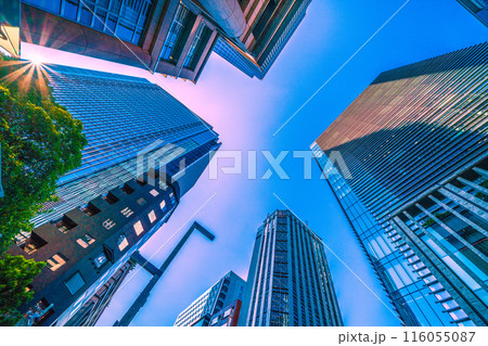 日本の東京都市景観 コレド室町テラス(COREDO室町テラス・日本橋室町三井タワー)などを望む 日本の東京都市景観 コレド室町テラス(COREDO室町テラス・日本橋室町三井タワー)などを望む 116055087