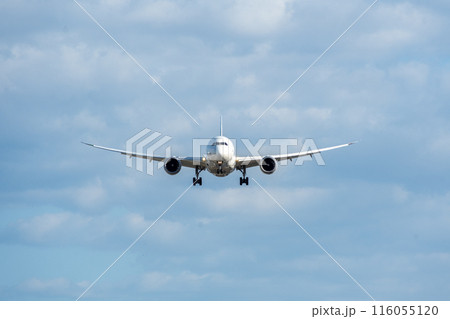 大阪伊丹空港に着陸する飛行機 116055120