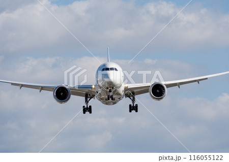 大阪伊丹空港に着陸する飛行機 大阪伊丹空港に着陸する飛行機 116055122