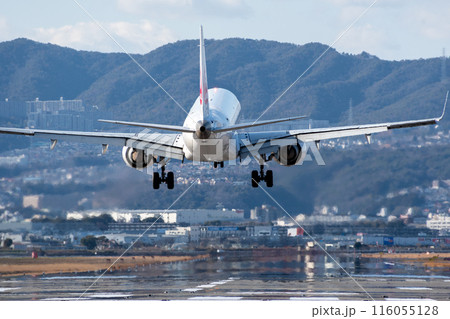 大阪伊丹空港に着陸する飛行機 116055128