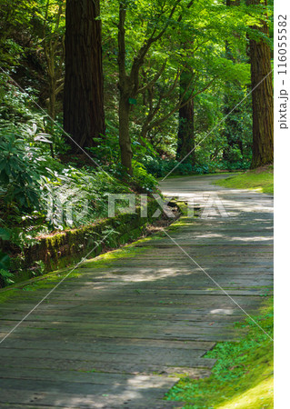 レッドヒル ヒーサーの森、緑美しい里山庭園〈三重県津市〉 116055582
