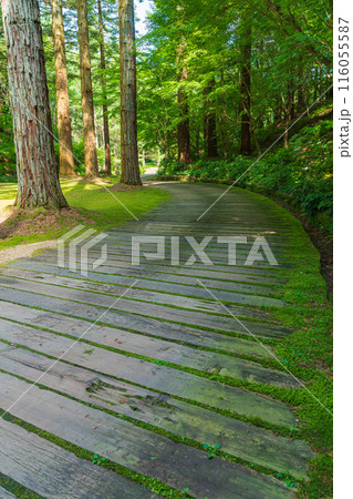 レッドヒル ヒーサーの森、緑美しい里山庭園〈三重県津市〉 116055587
