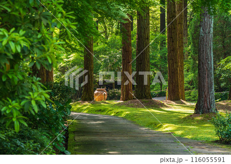 レッドヒル ヒーサーの森、緑美しい里山庭園〈三重県津市〉 116055591