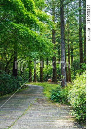 レッドヒル ヒーサーの森、緑美しい里山庭園〈三重県津市〉 116055593