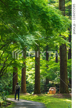 レッドヒル ヒーサーの森、緑美しい里山庭園〈三重県津市〉 116055595
