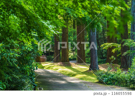 レッドヒル ヒーサーの森、緑美しい里山庭園〈三重県津市〉 116055598