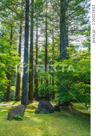 レッドヒル ヒーサーの森、緑美しい里山庭園〈三重県津市〉 レッドヒル ヒーサーの森、緑美しい里山庭園〈三重県津市〉 116055601