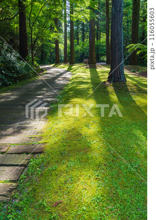 レッドヒル ヒーサーの森、緑美しい里山庭園〈三重県津市〉 116055603