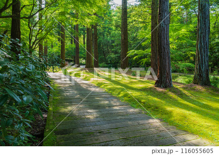 レッドヒル ヒーサーの森、緑美しい里山庭園〈三重県津市〉 116055605