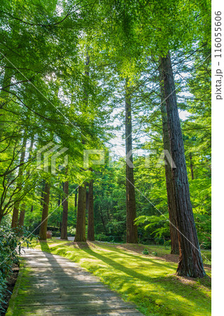 レッドヒル ヒーサーの森、緑美しい里山庭園〈三重県津市〉 116055606