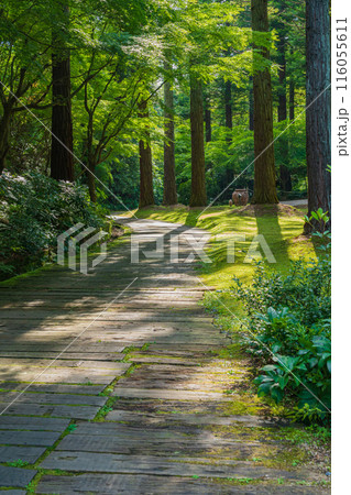 レッドヒル ヒーサーの森、緑美しい里山庭園〈三重県津市〉 116055611