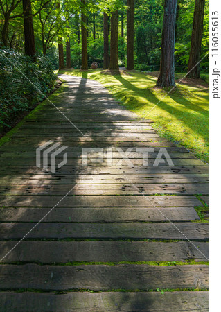 レッドヒル ヒーサーの森、緑美しい里山庭園〈三重県津市〉 レッドヒル ヒーサーの森、緑美しい里山庭園〈三重県津市〉 116055613