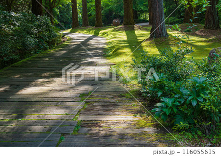 レッドヒル ヒーサーの森、緑美しい里山庭園〈三重県津市〉 レッドヒル ヒーサーの森、緑美しい里山庭園〈三重県津市〉 116055615