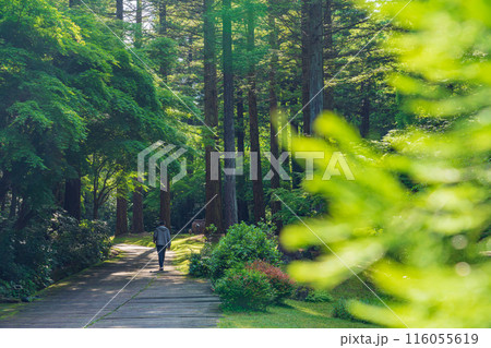 レッドヒル ヒーサーの森、緑美しい里山庭園〈三重県津市〉 レッドヒル ヒーサーの森、緑美しい里山庭園〈三重県津市〉 116055619