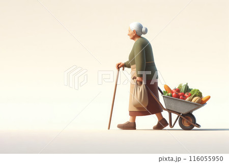 An old woman is carrying a construction cart with groceries. Space for text. An old woman is carrying a construction cart with groceries. Space for text. 116055950