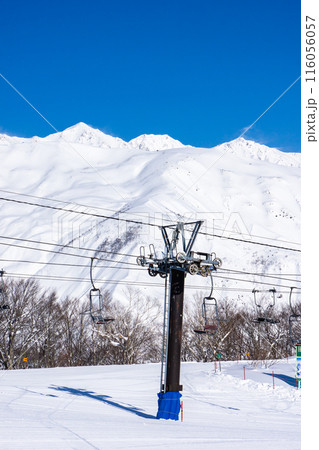 長野県北安曇郡白馬村　白馬五竜スキー場から見る白馬三山 116056057
