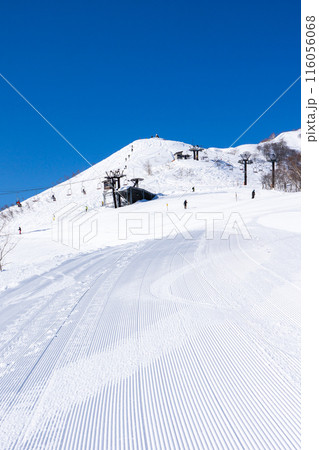 長野県北安曇郡白馬村 白馬五竜スキー場から見る地蔵の頭(遠見山系) 長野県北安曇郡白馬村 白馬五竜スキー場から見る地蔵の頭(遠見山系) 116056068
