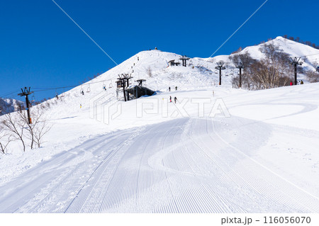 長野県北安曇郡白馬村　白馬五竜スキー場から見る地蔵の頭（遠見山系） 116056070