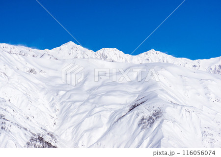 長野県北安曇郡白馬村　白馬五竜スキー場から見る白馬三山 116056074