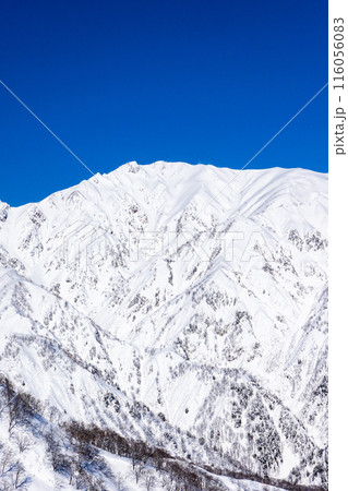 長野県北安曇郡白馬村　北アルプス遠見山系の地蔵の頭から見る八方尾根（唐松岳） 116056083