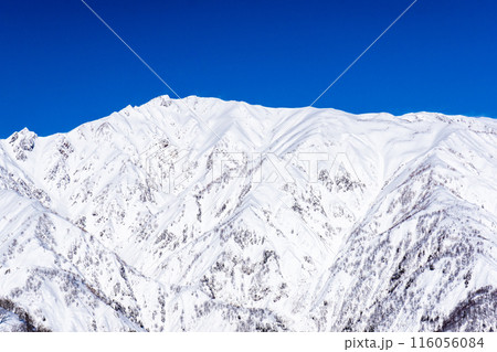 長野県北安曇郡白馬村　北アルプス遠見山系の地蔵の頭から見る八方尾根（唐松岳） 116056084