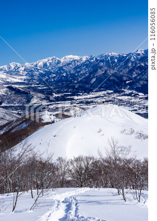 長野県白馬村　北アルプスの小遠見山　雪山登山　地蔵の頭と妙高山 116056085