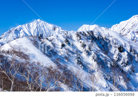 長野県白馬村 北アルプスの小遠見山 雪山登山 二ノ背から見る鹿島槍ヶ岳と八峰キレット 長野県白馬村 北アルプスの小遠見山 雪山登山 二ノ背から見る鹿島槍ヶ岳と八峰キレット 116056098