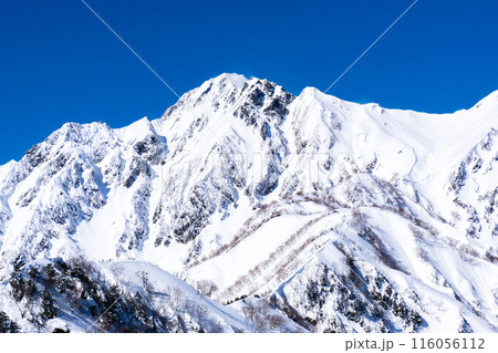 長野県白馬村　北アルプスの小遠見山　雪山登山　小遠見山の山頂から見る五竜岳（武田菱） 116056112