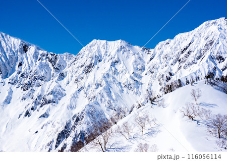 長野県白馬村 北アルプスの小遠見山 雪山登山 小遠見山の山頂から見る八峰キレット 長野県白馬村 北アルプスの小遠見山 雪山登山 小遠見山の山頂から見る八峰キレット 116056114