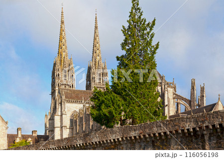 The Cathedral of Saint Corentin of Quimper 116056198