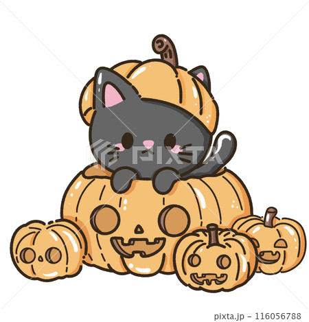 Hand drawn illustration kawaii black cat halloween themed poking up from a giant pumpkin jack o lantern Hand drawn illustration kawaii black cat halloween themed poking up from a giant pumpkin jack o lantern 116056788