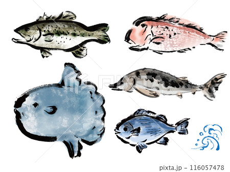 いろいろな手書きの魚の集合　和風筆書きの魚セット 116057478