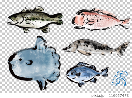 いろいろな手書きの魚の集合　和風筆書きの魚セット 116057478