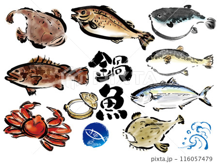 鍋物に向いてる手書きの魚の集合　和風筆書きの魚セット 116057479