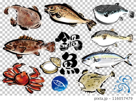 鍋物に向いてる手書きの魚の集合　和風筆書きの魚セット 116057479