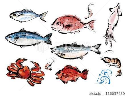 いろいろな手書きの魚の集合 和風筆書きの魚セット いろいろな手書きの魚の集合 和風筆書きの魚セット 116057480