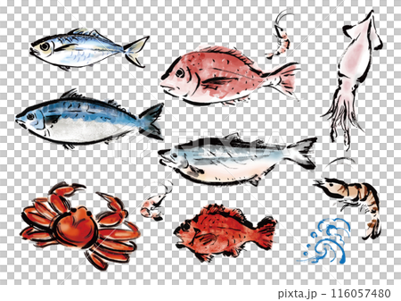 いろいろな手書きの魚の集合 和風筆書きの魚セット いろいろな手書きの魚の集合 和風筆書きの魚セット 116057480