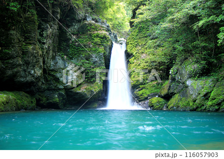 エメラルドグリーンの美しい滝 116057903