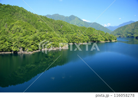 新緑に包まれた静かな湖 新緑に包まれた静かな湖 116058278