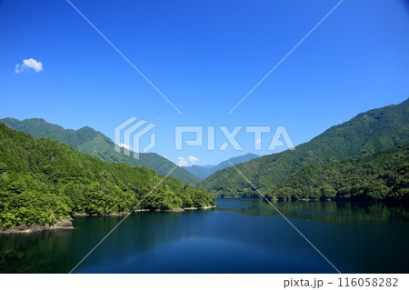 新緑に包まれた静かな湖 116058282