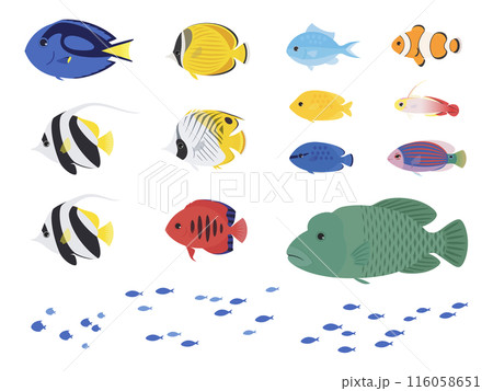 熱帯魚のイラスト素材セット 熱帯魚のイラスト素材セット 116058651