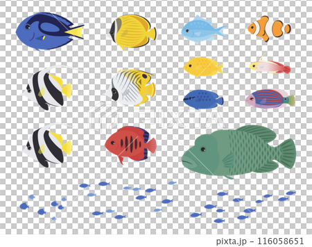 熱帯魚のイラスト素材セット 熱帯魚のイラスト素材セット 116058651