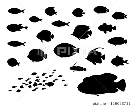熱帯魚のシルエットの素材セット 116058731