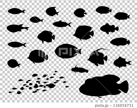 熱帯魚のシルエットの素材セット 116058731