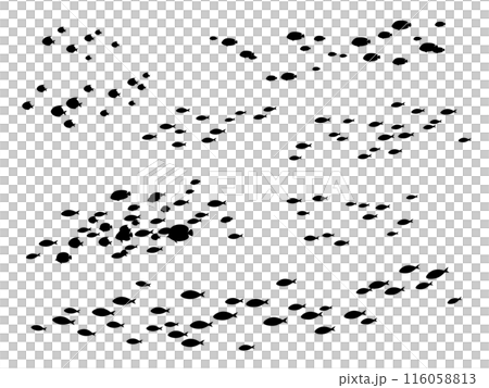 魚の群れのシルエット_魚影のイラスト素材セット 116058813