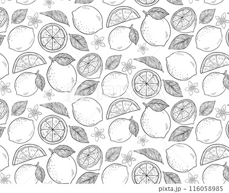 レモンとリーフの手描き風モノトーンシームレスパターン 116058985