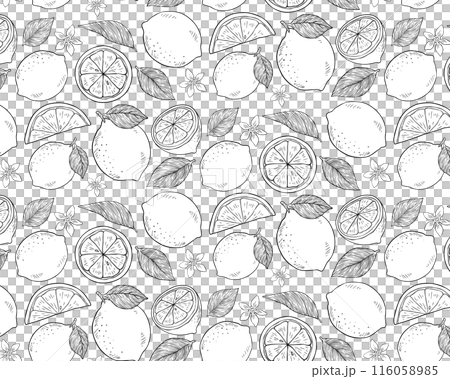 手繪風格單色無縫圖案與檸檬和葉子 116058985