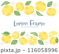 レモンとリーフの水彩風フレームイラストセット 116058996