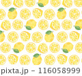 輪切りレモンの水彩風シームレスパターン 116058999