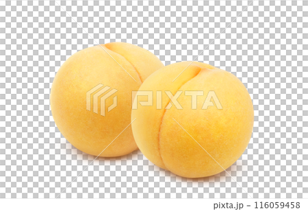 Golden peach illustration realistic set white background 116059458